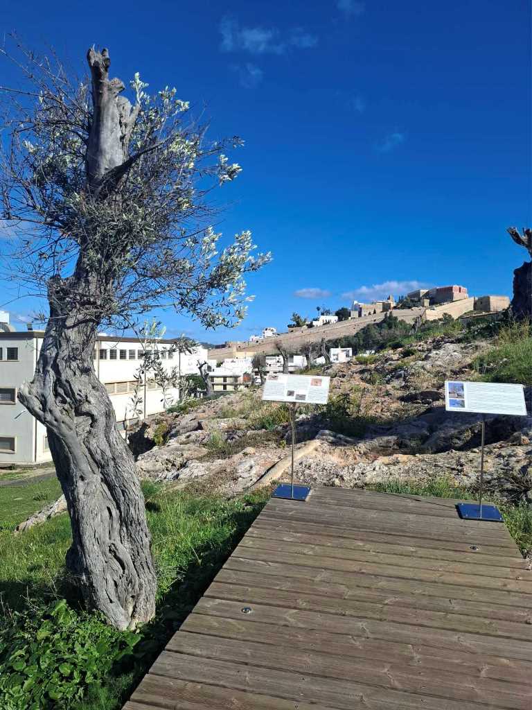 Екскурсія археологічним музеєм та некрополем